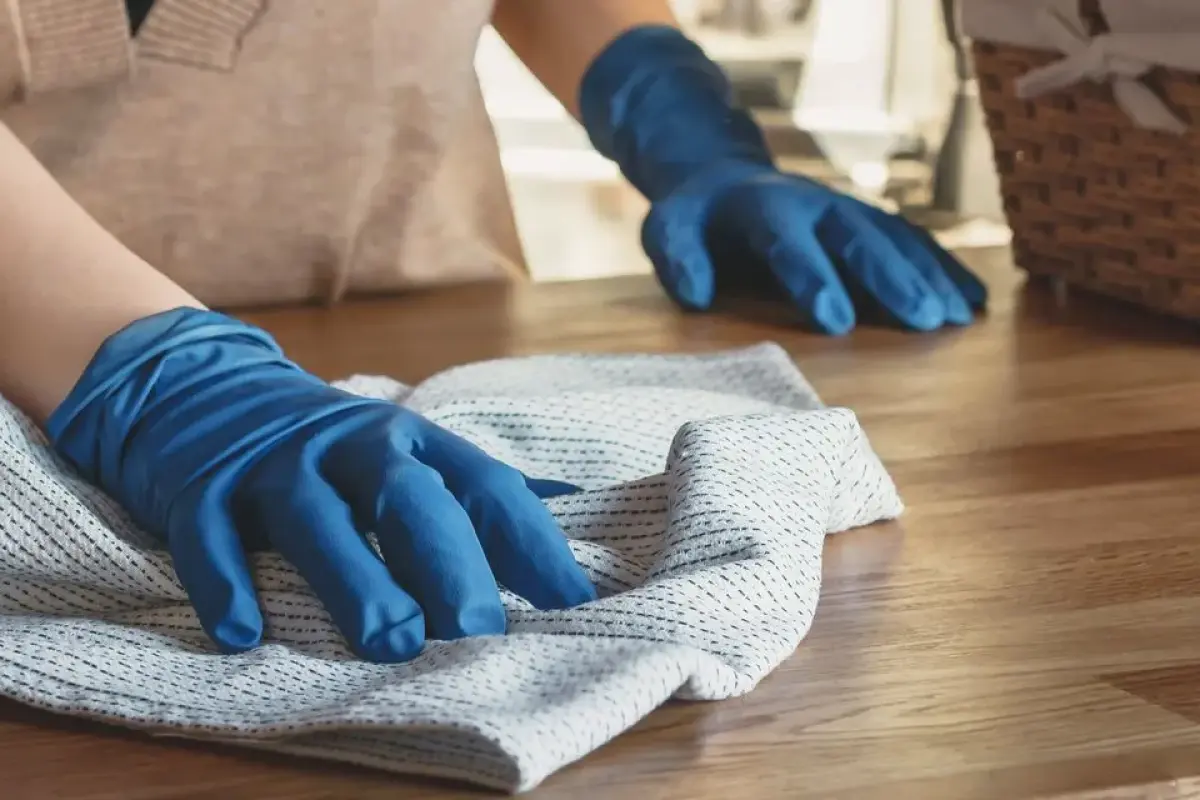 Myriam Repassage Repassage Haguenau Apres 3