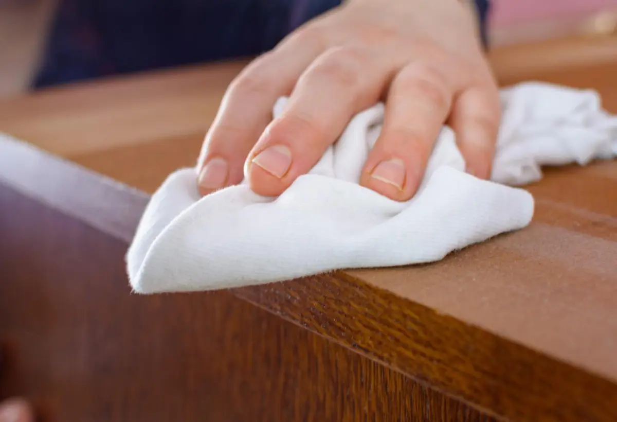 Myriam Repassage Repassage Haguenau Myriam 1